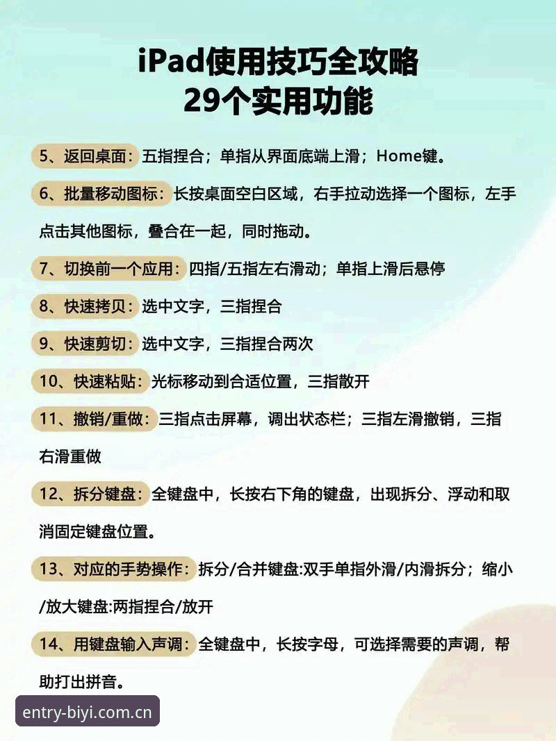 必一体育平台使用技巧详解——从注册到高效互动的完整指南